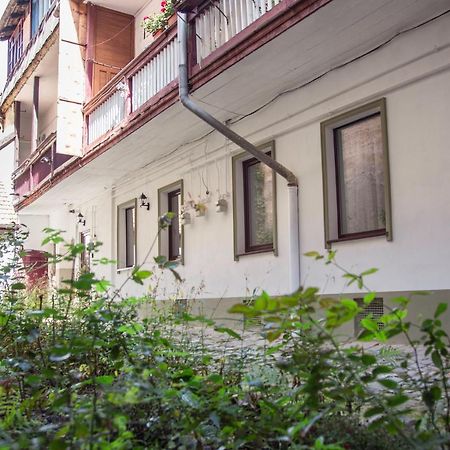Seek And Hide - Csilla'S Tiny Hideaway Brasov Bagian luar foto
